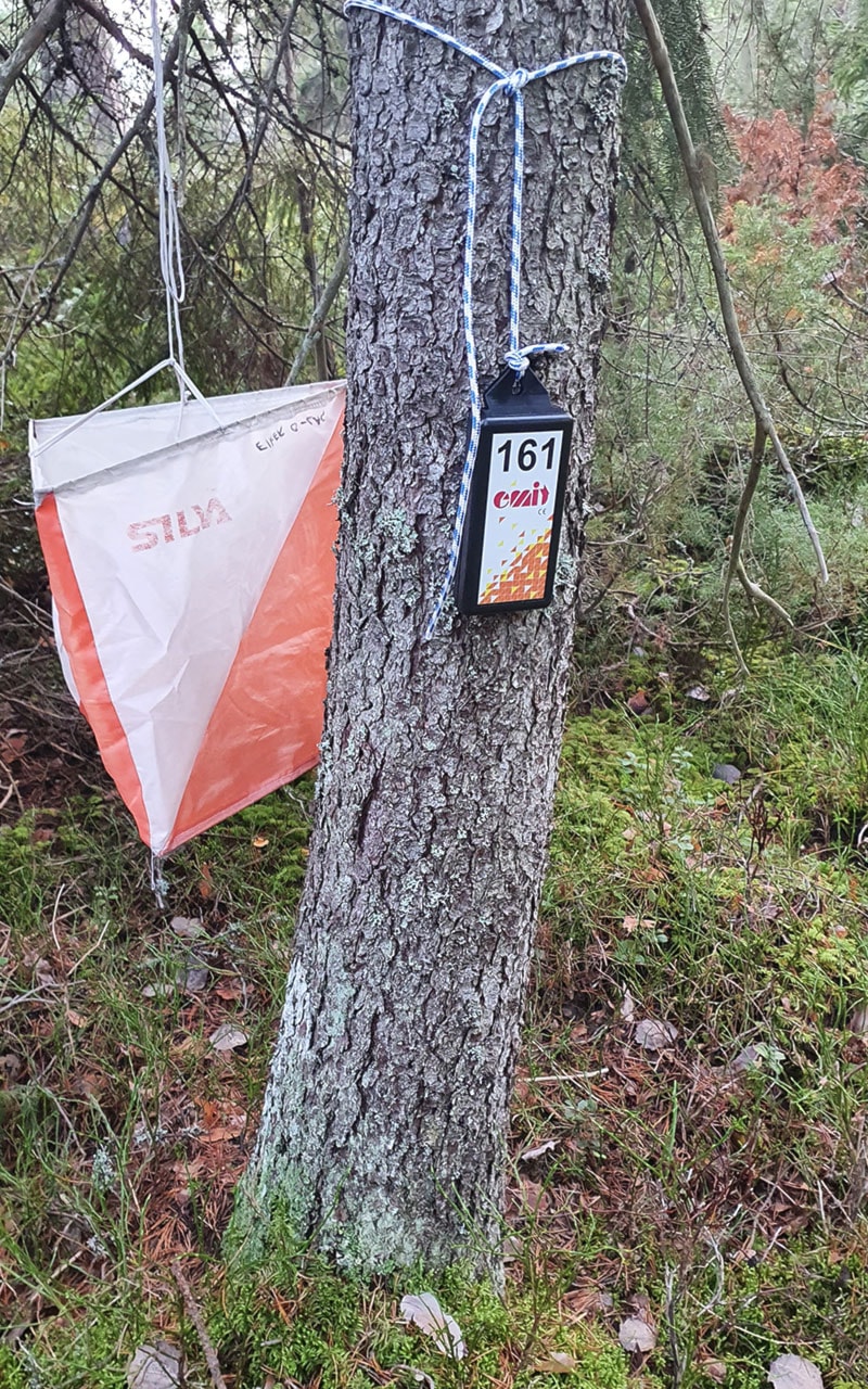 LØRDAG 20. NOV - ÅRETS SISTE TRENINGSLØP